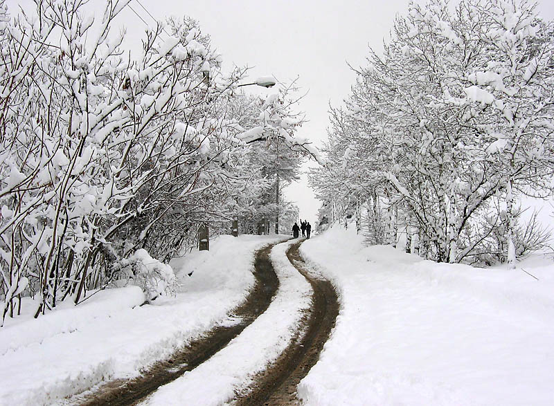 سرمای کم سابقه در جلفا