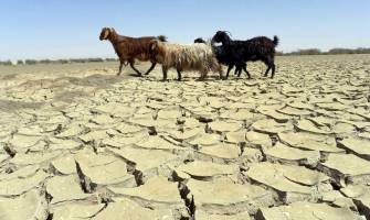 تیغ تیز خشکسالی بر گلوی 45 کشور