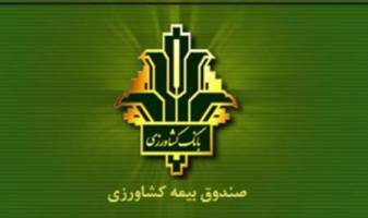 تجمع کارشناسان و کارگزاران صندوق بیمه کشاورزی مقابل مجلس