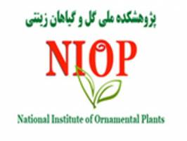 همکاری ایران و هلند در زمینه اجرای طرح های پژوهشی گل و گیاه