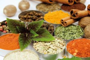 اجرای طرح توسعه گیاهان دارویی در تهران