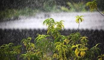 بارش برف و باران در شمال