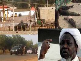 نمایندگان مجلس در بیانیه ای کشتار شیعیان نیجریه را محکوم کردند