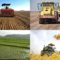   توانایی افزایش صادرات محصولات کشاورزی در استان زنجان