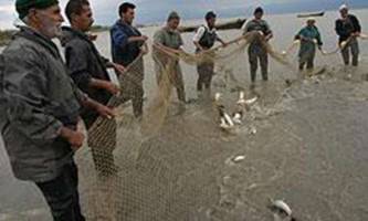 کاهش صید ماهیان استخوانی در سواحل مازندران