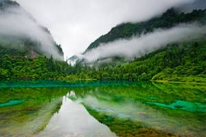 مرور ۲۰ تصویر برتر نشنال جئوگرافی ۲۰۱۵ به انتخاب بازدیدکنندگان