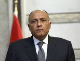 مصر خواستار عقب نشینی نیروهای ترکیه از عراق شد 