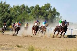 برگزاری هفته شانزدهم کورس اسبدوانی پاییزه گنبد 