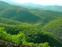 بررسی منابع طبیعی و محیط زیست باید در رأس برنامه های کشور قرار گیرد