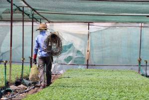 توصیه‌های ۵ روزه هواشناسی کشاورزی