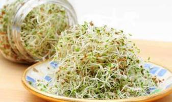 جوانه ای برای کم خونی 