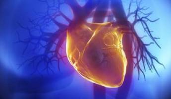 دستاورد محققان ایرانی در ترمیم بافت‌های آسیب‌دیده‌ قلب با کمک فناوری نانو 