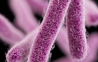 وقتی دیگر آنتی بیوتیک جواب نمی‌دهد