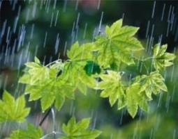 سامانه بارشی روز چهارشنبه در تهران فعال می شود