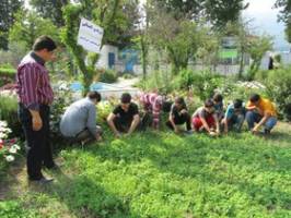 اتلاف 30 درصدی محصولات کشاورزی لرستان