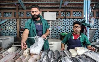 تیلاپیا 17 هزار تومان 