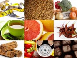 صادرات پایدار  مواد غذایی به روسیه  