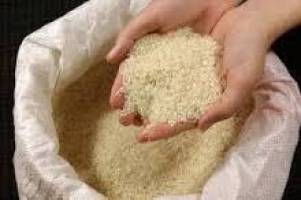 برنج آلوده در كشور وجود ندارد