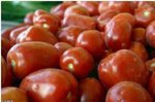   وعده‌ای دیگر برای ارزانی گوجه‌فرنگی