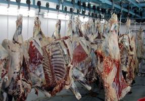  جزئیات واگذاری دو کشتارگاه دولتی اعلام شد 