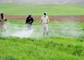  ظرفیت ایران در تولید سم کشاورزی 10 برابر میزان کنونی است