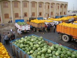 نگاهی به تجارت کشاورزی ایران با همسایگان