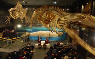 ماراتن روخوانی یک کتاب