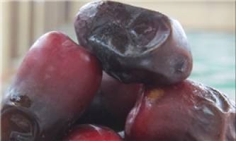 تولید 35 تن خرما در هر هکتار