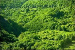 کرمانشاه نخستین استان پیشگام در توسعه درون‌زای پروژه «منارید»