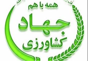  بودجه ۱۲۴۵ میلیارد تومانی وزارت جهاد کشاورزی برای سال ۹۵ 