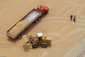 چرا ژاپن واردات گندم از آمریکا را ممنوع کرد؟