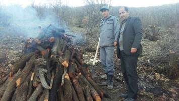۳۰ کوره ذغال در روستای «بوژان» شهرستان کرمانشاه نابود شد