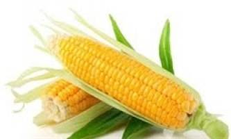 عرضه گواهی سپرده ذرت 12 انبار خوزستان 