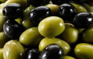   آمادگی برای صادرات زیتون به روسیه