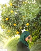 تک عکس جدید الناز حبیبی | بهمن 94
