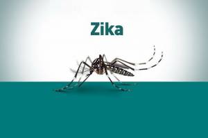 آشنایی با ویروس زیکا 