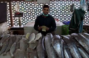 قیمت ماهی در بازار گران شد