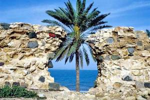 انتقاد از کمبود زیرساخت‌های حمل و نقل در قشم