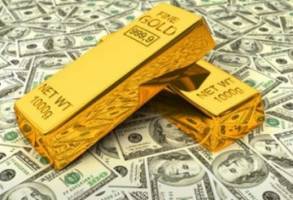 دلیل افزایش قیمت سکه