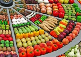 قاچاق ۲۰ هزار هکتار از باغات لیموترش را از بین برد
