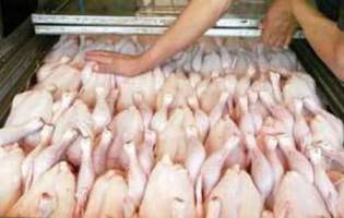  کاهش اندک نرخ تخم مرغ در بازار و تثبیت قیمت مرغ