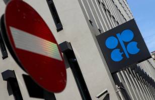 اوپک مقصر کاهش قیمت نفت است 