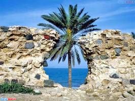 تور قشم نوروز 95