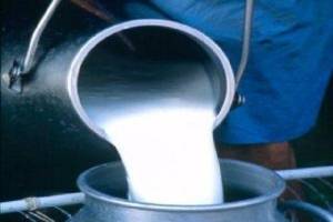 کاهش نرخ خرید شیرخام در برخی نقاط 