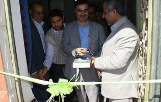 بافندگان فرش دست‌باف شهرستان دیر حمایت می‌شوند
