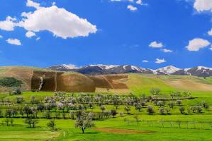 اطلاعات ضروری در صورت سفر به کردستان