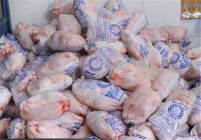 توزیع سراسری گوشت قرمز و مرغ منجمد 