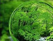 تجارت الکترونیکی؛راه حلی برای حفظ منابع طبیعی است 