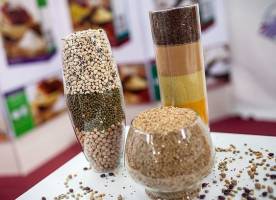 حضور صنایع غذایی ایران در نمایشگاه روسیه