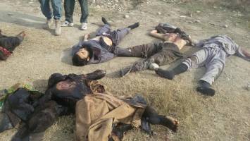 کشته شدن ۱۵ داعشی در شرق الرمادی